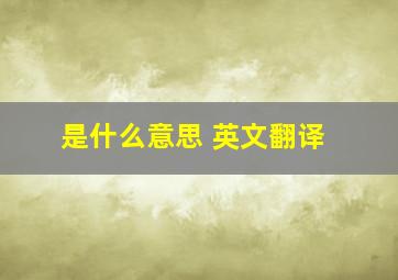 是什么意思 英文翻译